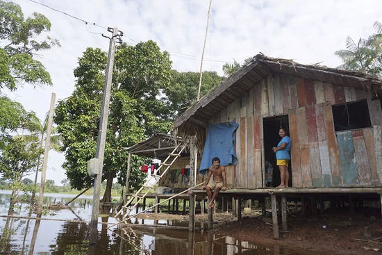 居住在马瑙斯附近的亚马孙雨林原住民。澎湃新闻记者